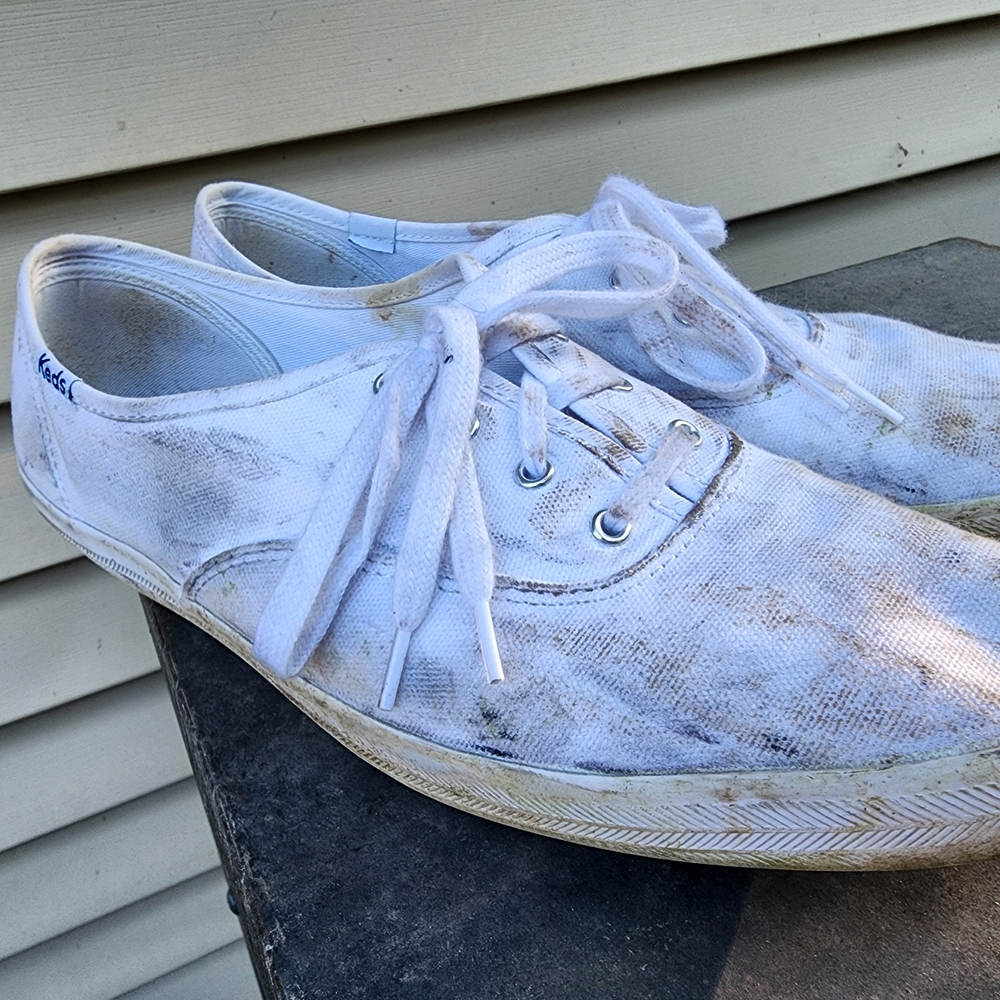 Keds 10w Well Worn